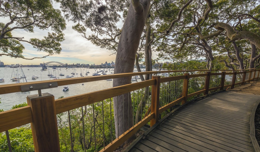 The International Fleet Review at Bradleys Head in Sydney Harbour National Park. Photo: John Spencer &copy; OEH