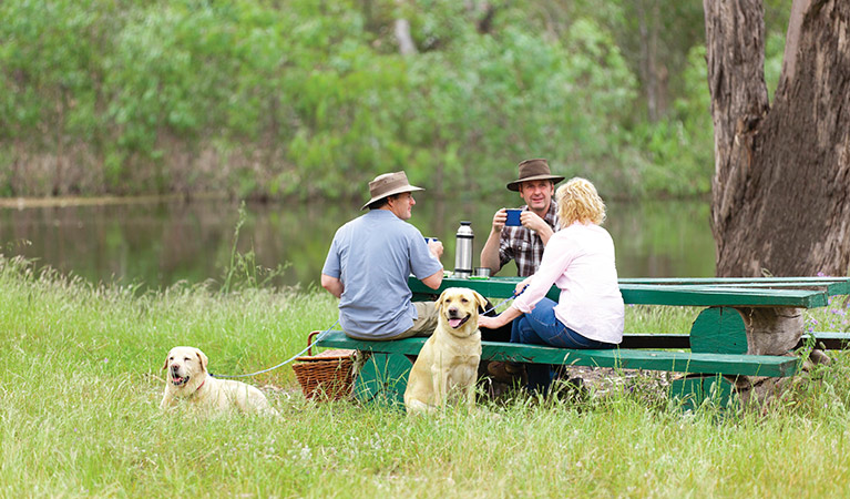 Two dogs sit beside a group of people at a picnic table, Gulpa Island, Murray Valley Regional Park. Photo: David Finnegan © DPIE