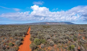 An aerial view of a red dirt road surrounded by arid shrublands in Gundabooka National Park. Credit: Joshua J Smith © DCCEEW