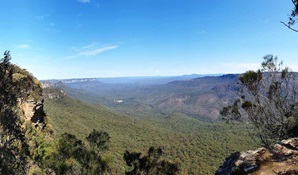 A view of the vast forests and sandstone escarpments in Blue Mountains National Park. Credit: Yvonne Kaiser / DCCEEW © DCCEEW