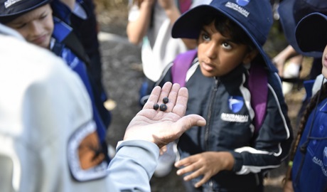 Students on a school excursion are shown local native edible plants. Photo: Adam Hollingworth © DPIE