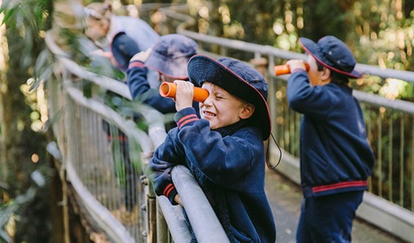 Students observing the rainforest from a boardwalk through telescopes in Dorrigo National Park. Photo: Remy Brand © DPIE