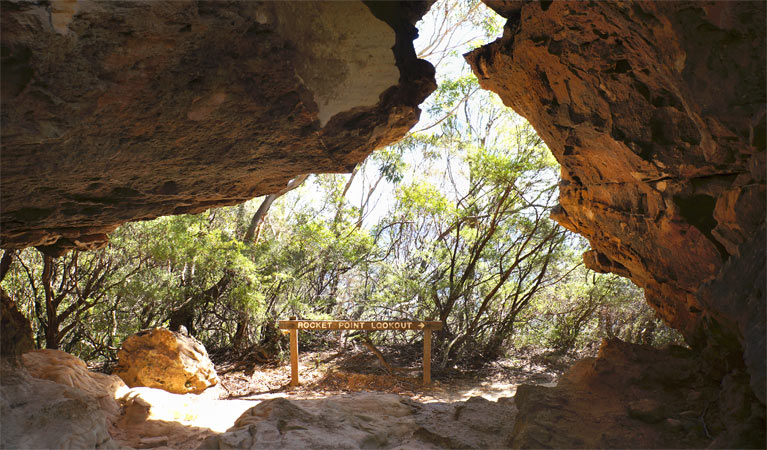 Rocket Point Lookout Track, Blue Mountains National Park. Photo: Steve Alton &copy; OEH