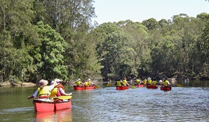 Bonville Creek, Bongil Bongil National Park. Photo © Andrew Turbill