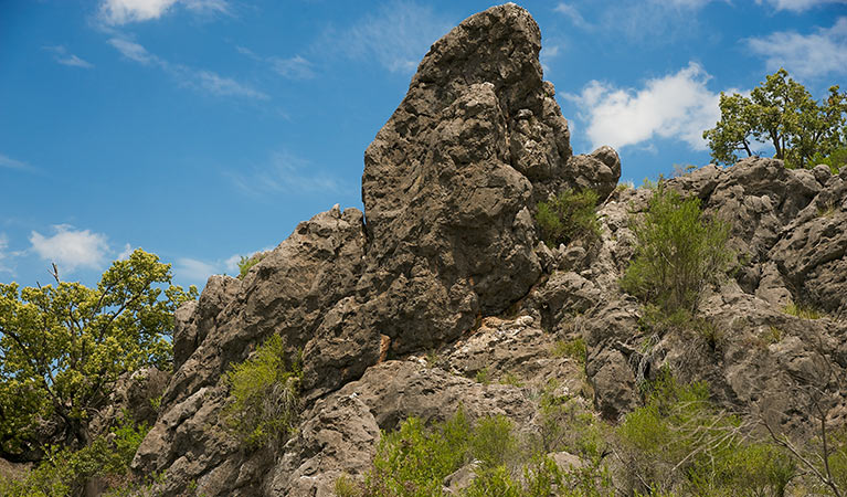 Verandah Cave, Borenore Karst Conservation Reserve. Photo &copy; Steve Woodhall