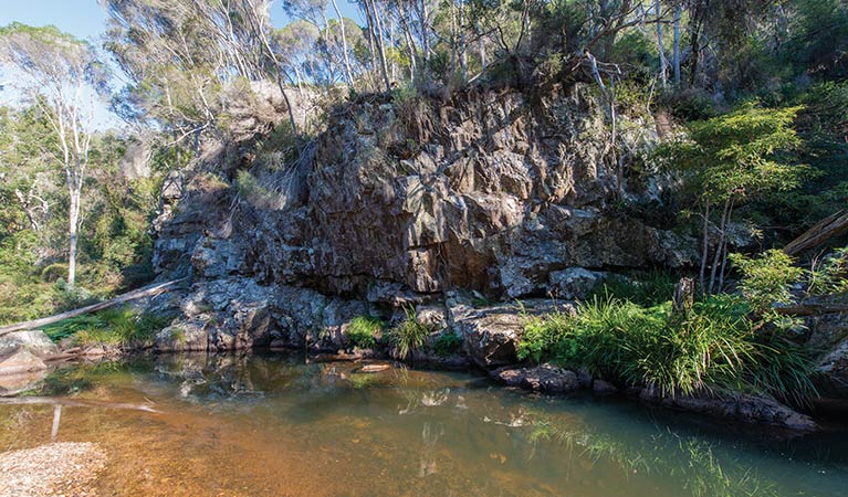 Sandy Creek loop track in Bournda National Park. Photo: John Spencer &copy; OEH