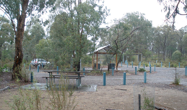 Bungonia Campground, Bungonia National Park. Photo: Audrey Kutzner/NSW Government