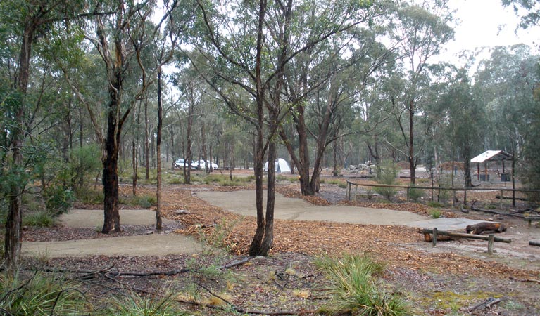 Bungonia Campground, Bungonia National Park. Photo: Audrey Kutzner/NSW Government