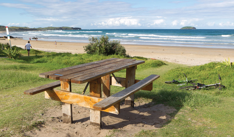 Picnic table beside Emerald Beach, Coffs Coast Regional Park. Photo: Rob Cleary