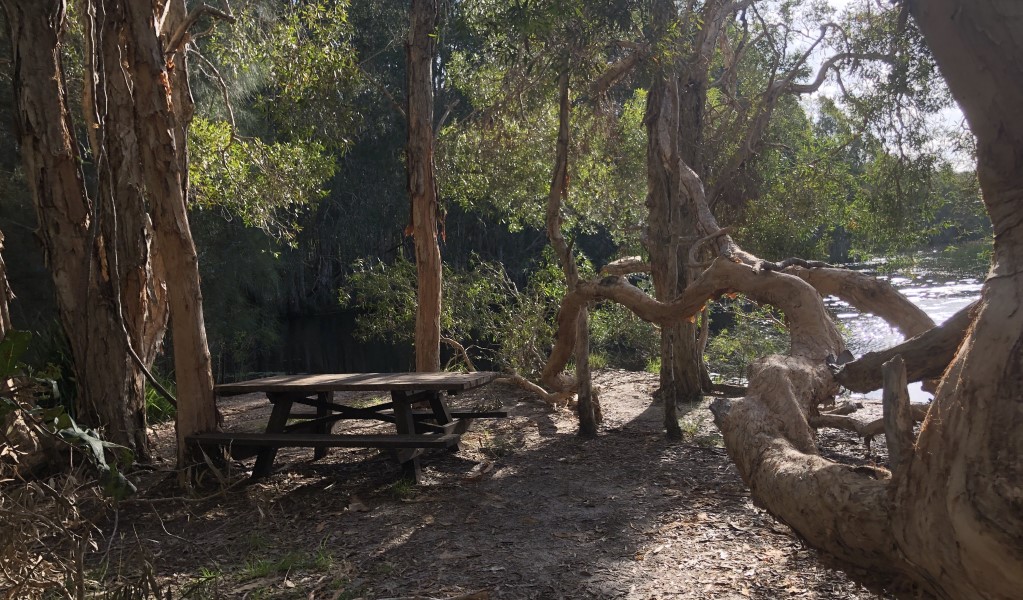 A picnic table at Cudgen Lake. Photo: Jessica Stokes &copy; OEH