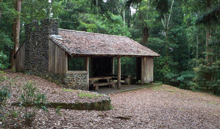 Never Never picnic area, Dorrigo National Park. Photo &copy; Rob Cleary