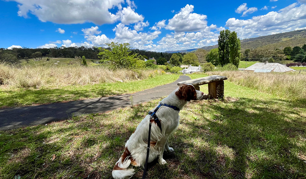 On-leash dogs are permitted on a short walk up to Kew-Y-Ahn in Hartley Historic Village. Credit: Natasha Webb &copy; Natasha Webb/DCCEEW
