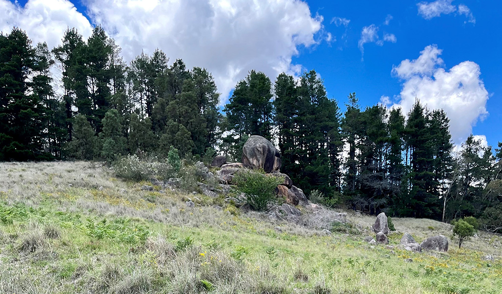 Looking up the hill towards a granite rock outcrop in Hartley named Kew-Y-Ahn which holds great significance to the local the Aboriginal community, and many artists, and photographers. Credit: Natasha Webb &copy; Natasha Webb/DCCEEW