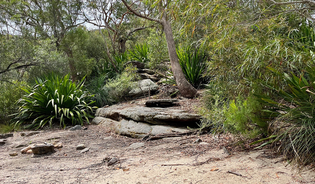 Sandy bank by Mirang pool in Heathcote National Park, a great picnicking spot. Credit: Natasha Webb &copy; DCCEEW/Natasha Webb