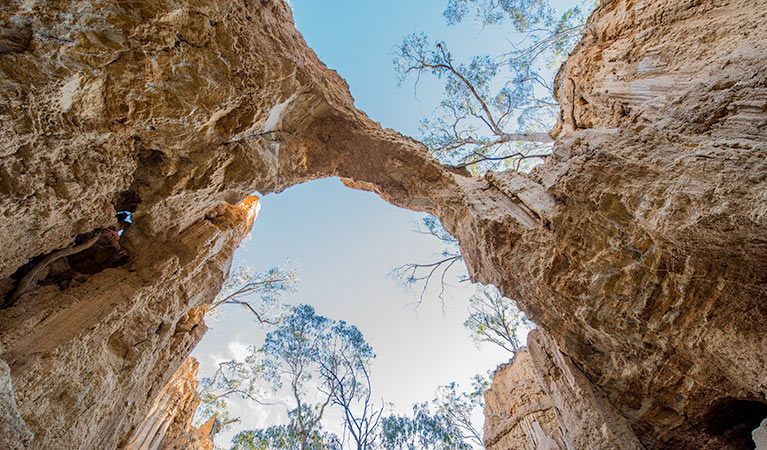 Golden Gully walking track, Hill End Historic Site. Photo: John Spencer &copy; OEH