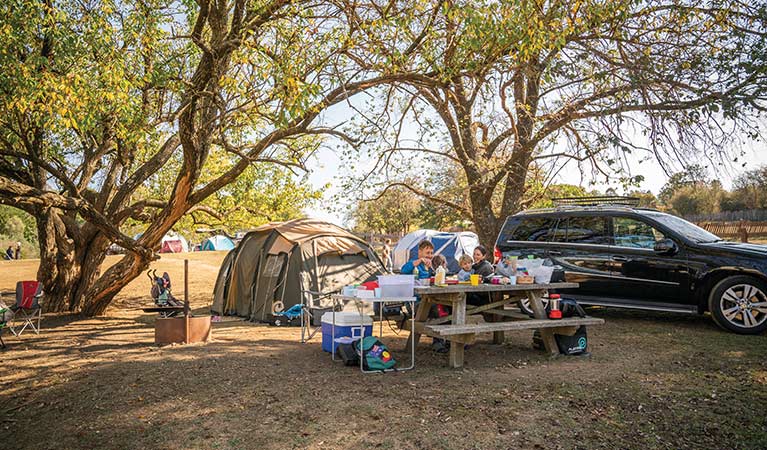 Tent set up next to a picnic table and fire ring at Village campground, Hill End Historic Site. Photo: John Spencer/OEH