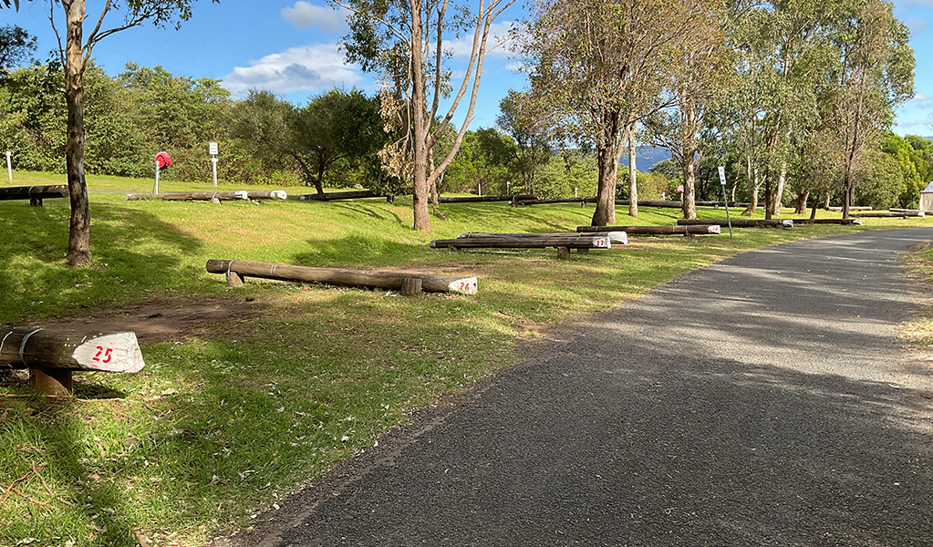 Numbered campsites at Killalea campground in Killalea Regional Park. &copy; DPE