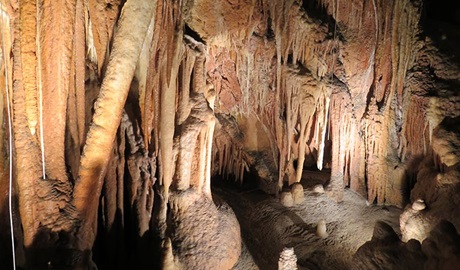 Jillabenan Cave stalactites at Yarrangobilly Caves, Kosciuszko National Park. Photo: Elinor Sheargold © OEH