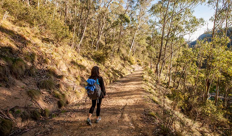 Yarrangobilly thermal pool walk, Kosciuszko National Park. Photo: Murray Vanderveer/OEH.