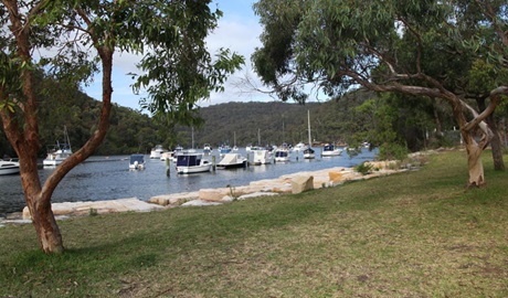 Apple Tree picnic area, Ku-ring-gai Chase National Park. Photo &copy; Andy Richards
