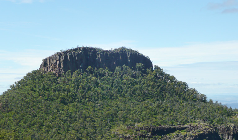 Euglah Rock walking track, Mount Kaputar National Park. Photo &copy; Jessica Stokes