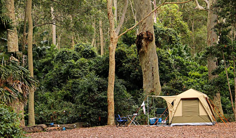 Depot Beach campground, Murramarang National Park. Photo: John Yurasek &copy; DPIE