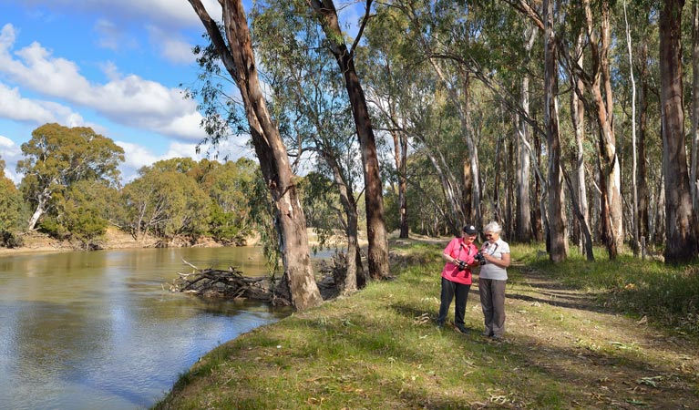 Turkey Flat trail, Murrumbidgee Valley National Park. Photo: Gavin Hansford