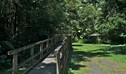 Walkway into Terania Creek picnic area. Photo: John Spencer