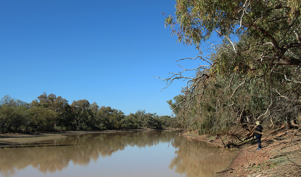 A woman stands on the banks of King Charlie Waterhole under clear blue skies,  in Nocoleche Nature Reserve. Photo &copy; Jessica Stokes