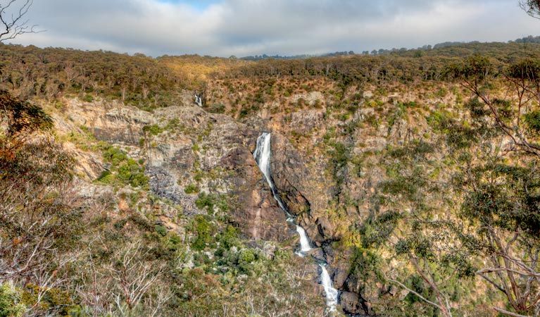 Tia Falls, Oxley Wild Rivers National Park. Photo &copy; Gerhard Koetner
