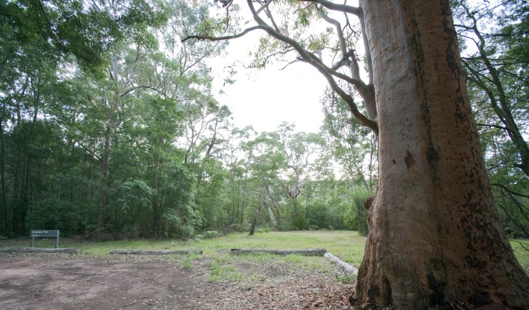 Parking with the picnic area in the background at Gunjulla Flat picnic area in Royal National Park. Photo: Nick Cubbin &copy; OEH
