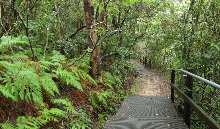 Bradleys Head to Chowder Bay walk, Sydney Harbour National Park. Photo credit: Elinor Sheargold &copy; DPIE