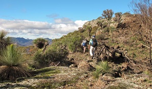 Mount Exmouth walking track, Warrumbungle National Park. Photo © Sue Brookhouse