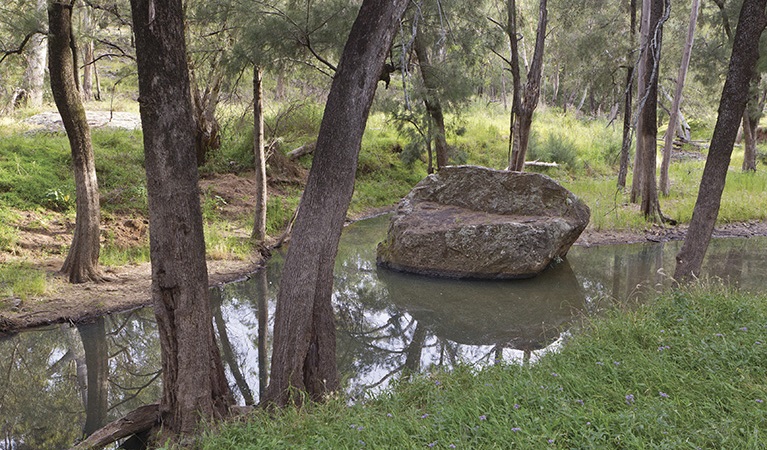 Creek views along Wambelong Nature track, Warrumbungle National Park. Photo &copy; Rob Cleary