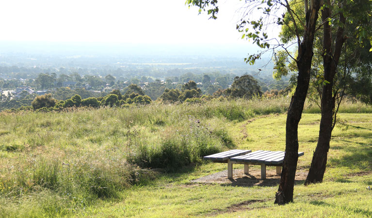 Turkey's Nest picnic benches. Photo: John Yurasek &copy; OEH