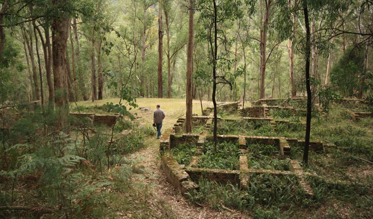 Man walking in Newnes Industrial Ruins, Wollemi National Park. Photo: Elinor Sheargold &copy; DPIE