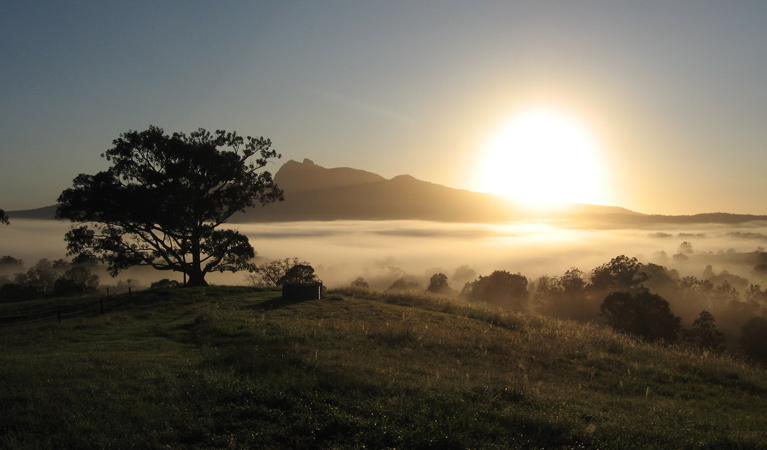 Sunrise, Wollumbin National Park. Photo: S Foreman.