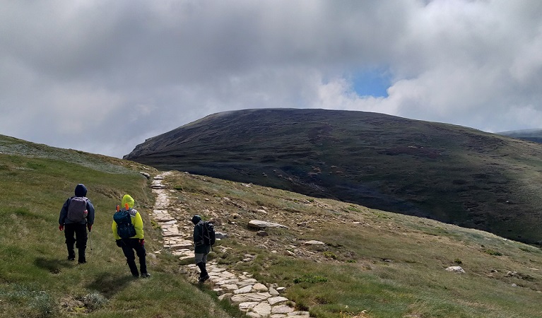 Volunteers working along a walking track on the Main Range on the way to Lake Albina, Kosciuszko National Park. Photo: Rebecca Mooy &copy; Rebecca Mooy/NPWS