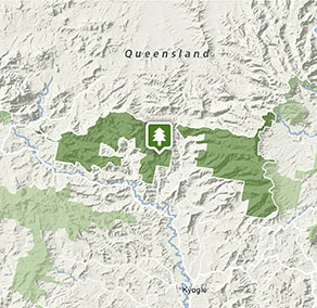 Border Ranges National Park