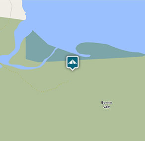 Guided nature walk: Bonnie Vale