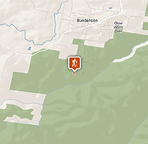 Mount Carnarvon walking track